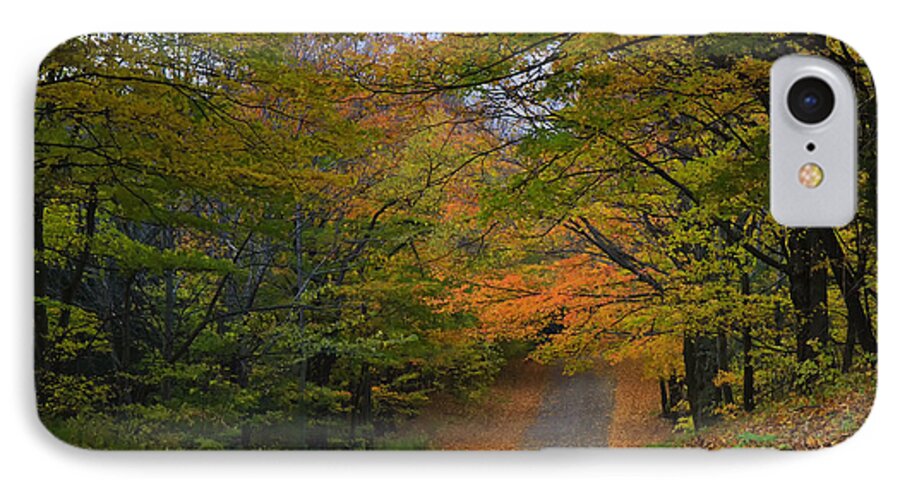 Autumn iPhone 8 Case featuring the photograph Autumn In The Caledon Hills by Gary Hall