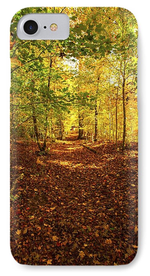 Autumn Leaves iPhone 8 Case featuring the photograph Autumn Leaves Pathway by Jerry Cowart