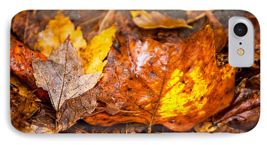 2013 iPhone 8 Case featuring the photograph Autumn Pile by Melinda Ledsome
