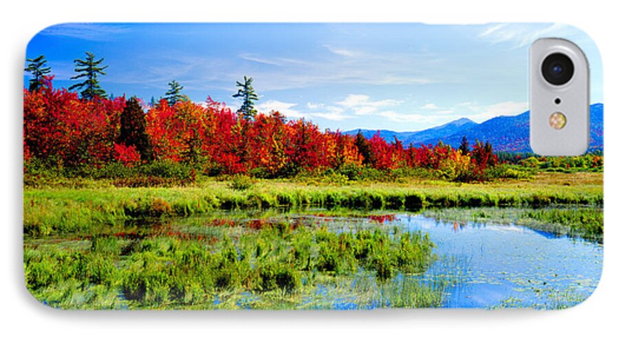 Adirondack Landscape iPhone 8 Case featuring the photograph Autumn Splendor by Frank Houck