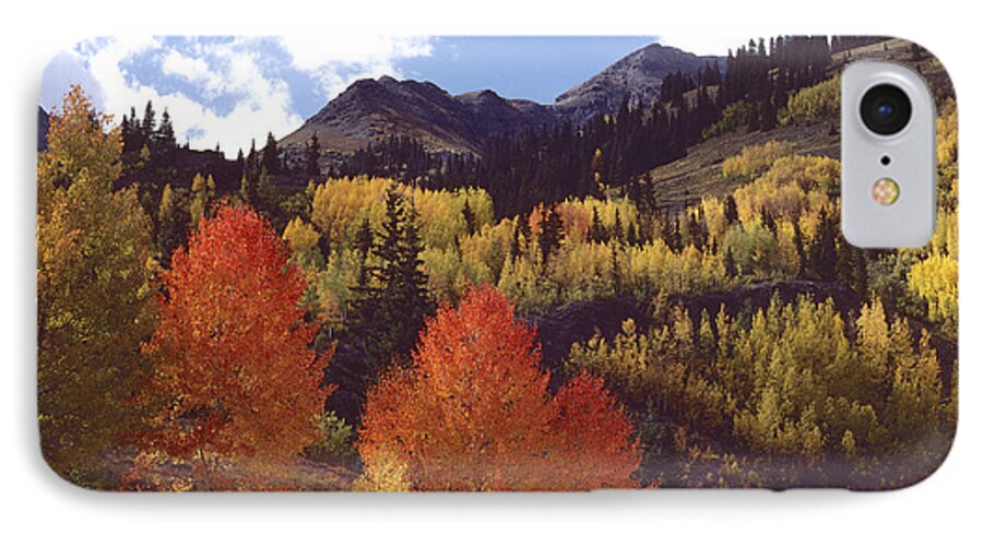 Mountains iPhone 8 Case featuring the photograph Autumn Splendor by Bon and Jim Fillpot