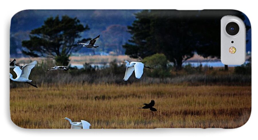 Birds iPhone 8 Case featuring the photograph Aviary Convention by Robert McCubbin