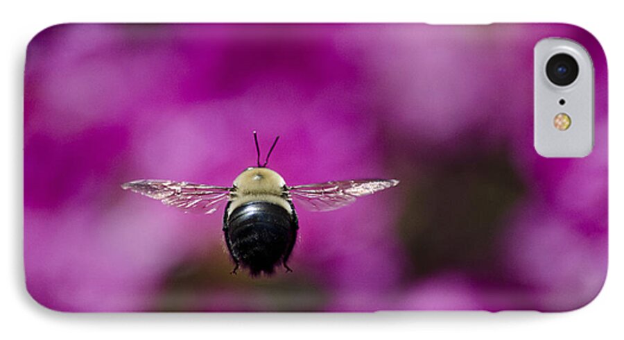 Antennae iPhone 8 Case featuring the photograph Azalea bush bee by Brian Stevens