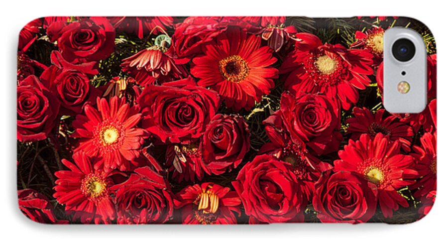 ©connie Cooper-edwards iPhone 8 Case featuring the photograph Background of Red Roses and Daisies by Connie Cooper-Edwards