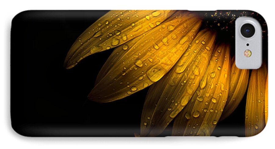 Abstract iPhone 8 Case featuring the photograph Backyard Flowers 28 Sunflower by Brian Carson