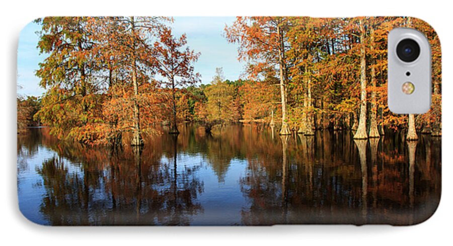 Baldcypress Trees iPhone 8 Case featuring the photograph Baldcypress at Trap Pond by Robert Pilkington