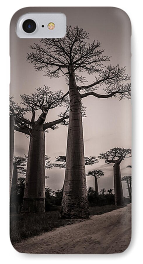 Baobab iPhone 8 Case featuring the photograph Baobab Avenue by Linda Villers