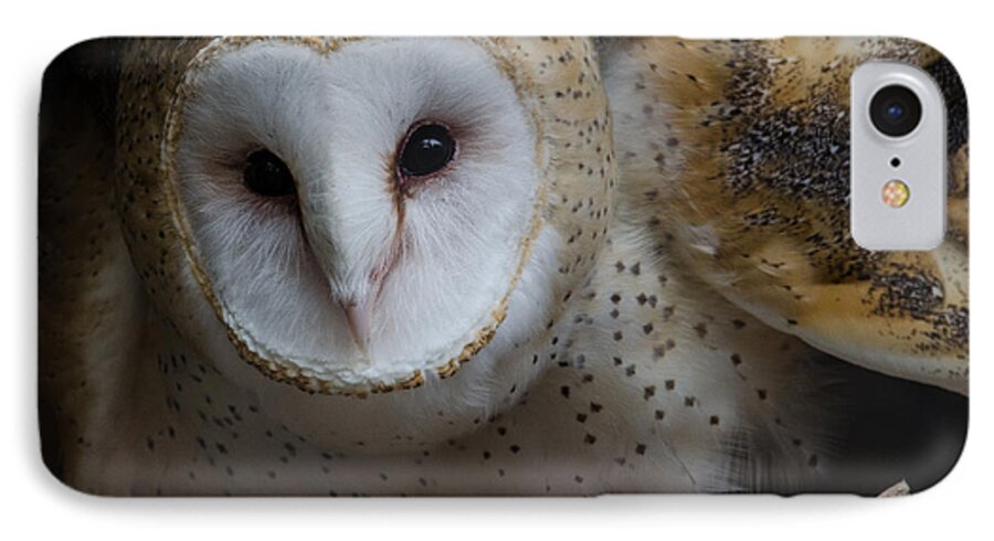 Barn Owl iPhone 8 Case featuring the photograph Barn Owl by Michael Hubley