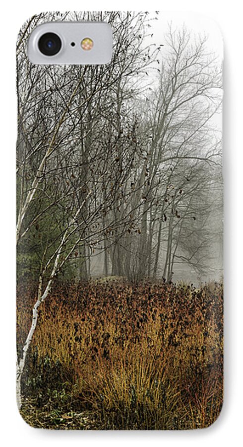Birch iPhone 8 Case featuring the photograph Birch in Winter by Fran Gallogly