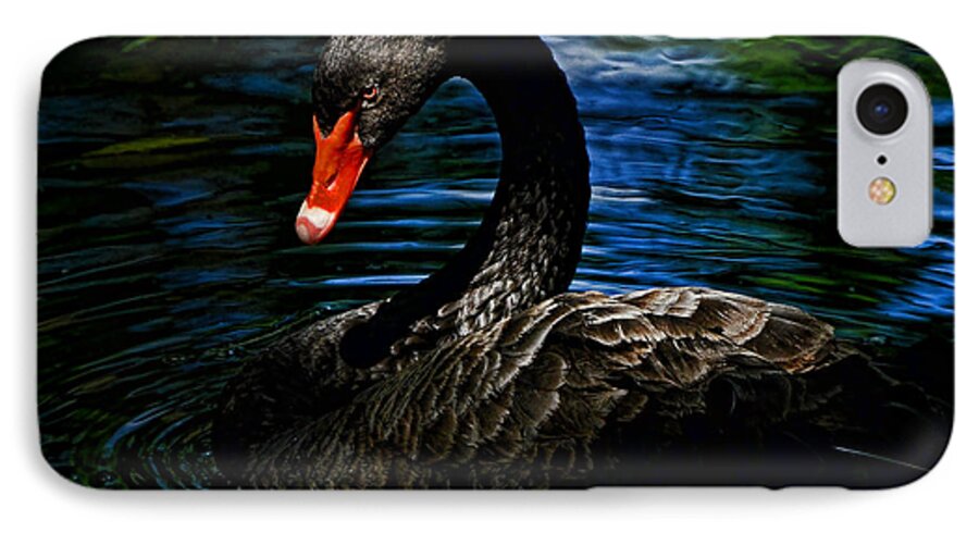 Black Swan iPhone 8 Case featuring the photograph Black Swan by Stuart Harrison