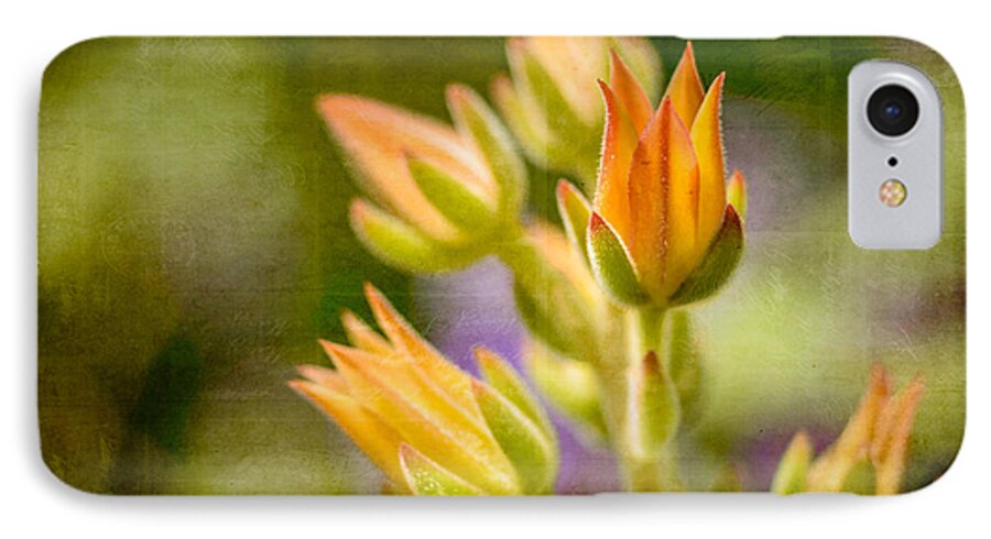 Nature iPhone 8 Case featuring the photograph Blooming Succulents I by Marco Oliveira