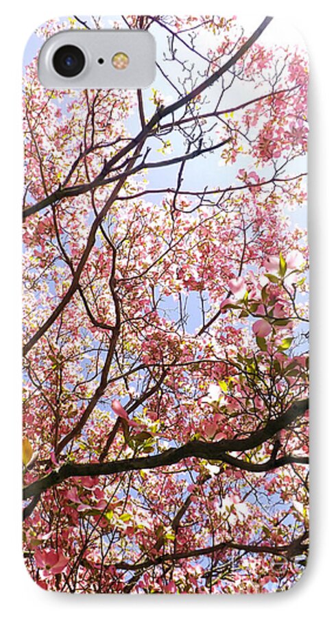Flowers iPhone 8 Case featuring the photograph Blossoming Pink by Robyn King