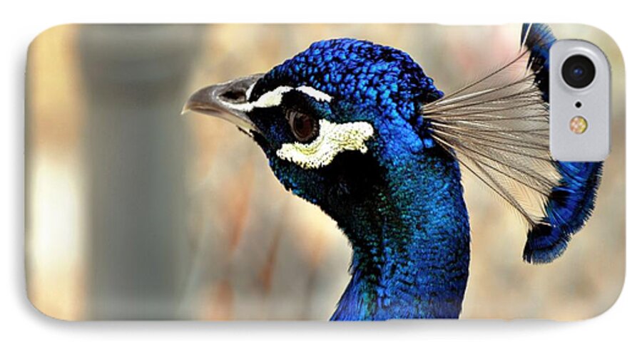 Peacock iPhone 8 Case featuring the photograph Blue Bell 2 by Phillip Garcia