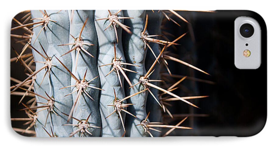 Botanical iPhone 8 Case featuring the photograph Blue Cactus by John Wadleigh