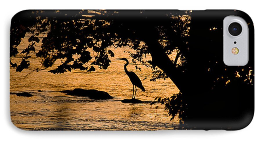 Shadows iPhone 8 Case featuring the photograph Blue Heron at sunset by Andy Lawless