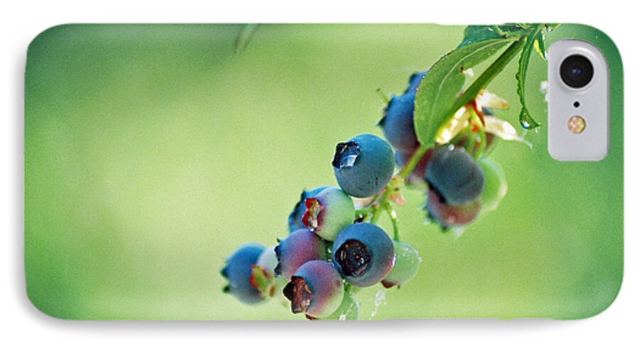 Blueberries iPhone 8 Case featuring the photograph Blueberries by Frank Larkin