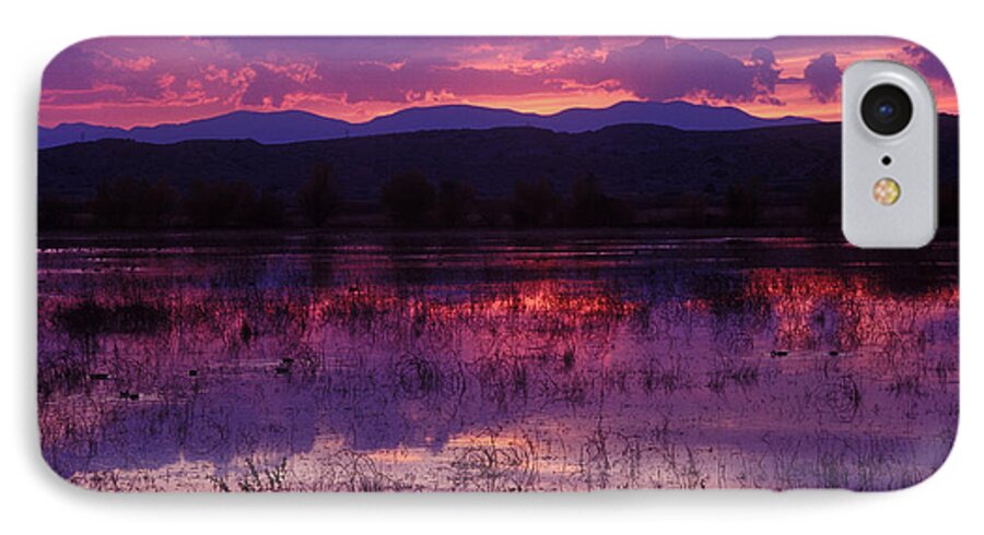 Bosque iPhone 8 Case featuring the photograph Bosque sunset - purple by Steven Ralser