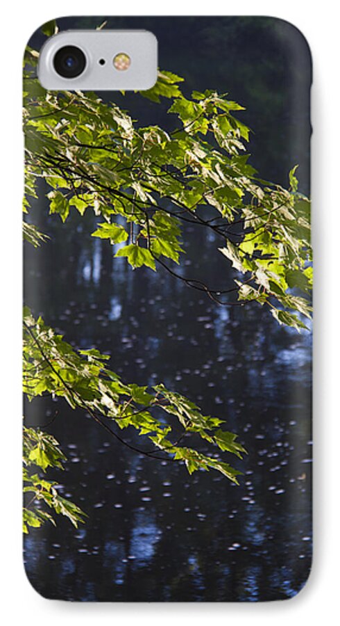 Branches iPhone 8 Case featuring the photograph Branches by Lindsey Weimer