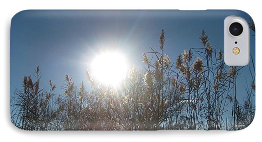 Sun iPhone 8 Case featuring the photograph Brilliance In The Grasses by Melissa McCrann