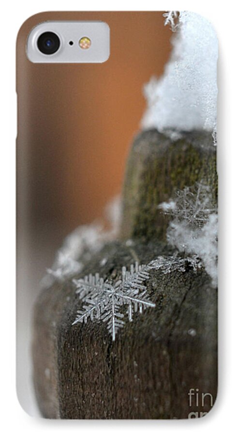 Snowflake iPhone 8 Case featuring the photograph Broken Dream by Lila Fisher-Wenzel