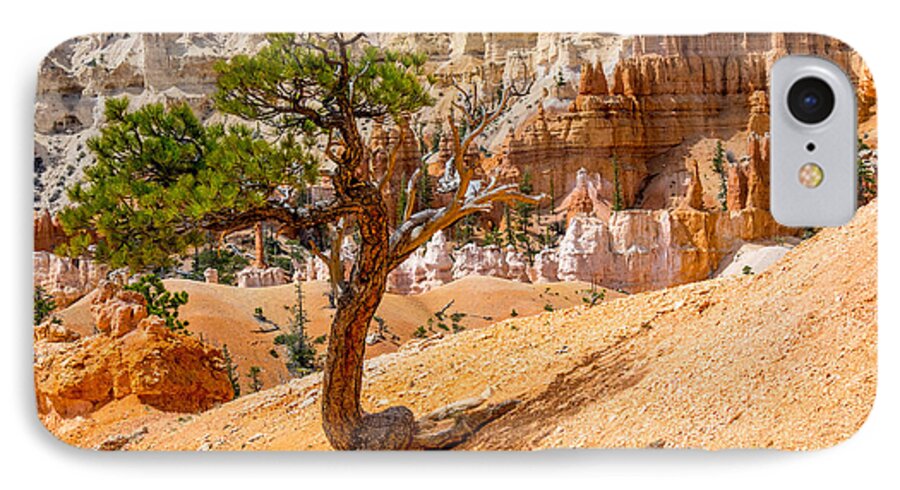 Usa iPhone 8 Case featuring the photograph Bryce Canyon NP by Juergen Klust