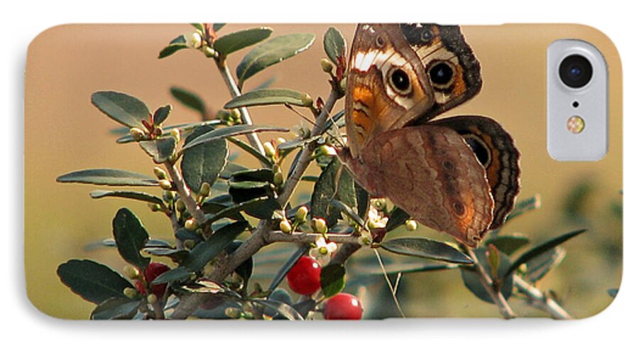 Nature iPhone 8 Case featuring the photograph Buckeye Beauty by Peggy Urban