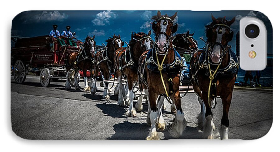 Budweiser Clydesdale's iPhone 8 Case featuring the photograph Budweiser Clydesdales by Ronald Grogan
