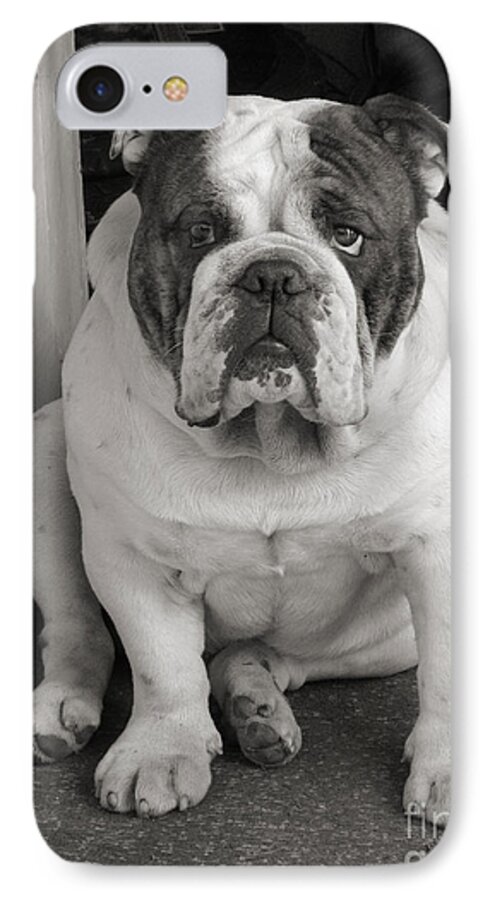 Bulldog iPhone 8 Case featuring the photograph Bull dog at door by Linda Matlow