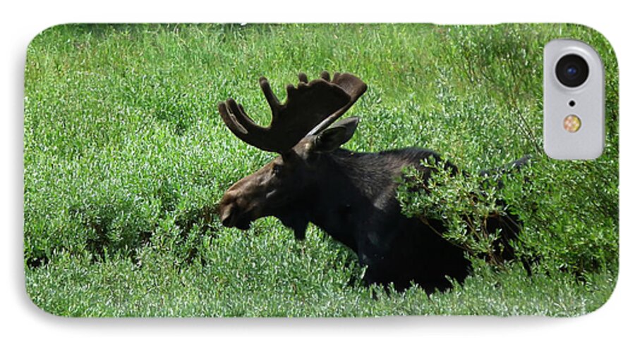 Jim Fillpot iPhone 8 Case featuring the photograph Bull Moose 1 by Bon and Jim Fillpot