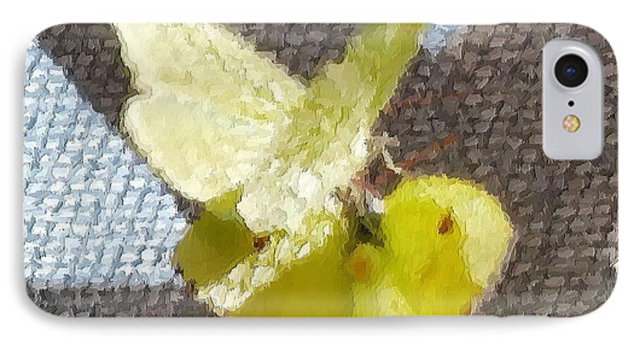 #mating Yellow iPhone 8 Case featuring the photograph Sulfur Butterflies Mating by Belinda Lee
