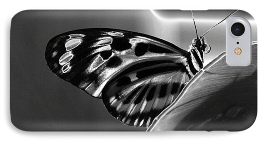 Solarization iPhone 8 Case featuring the photograph Butterfly Solarized by Ron White