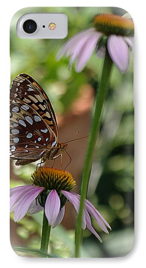 Cone Flower iPhone 8 Case featuring the photograph Butterfly Time by Karen McKenzie McAdoo