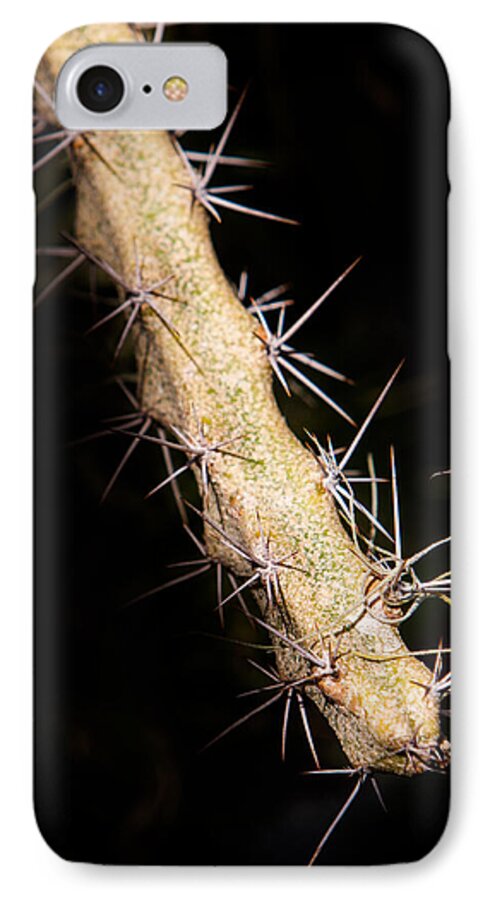Botanical iPhone 8 Case featuring the photograph Cactus Branch by John Wadleigh