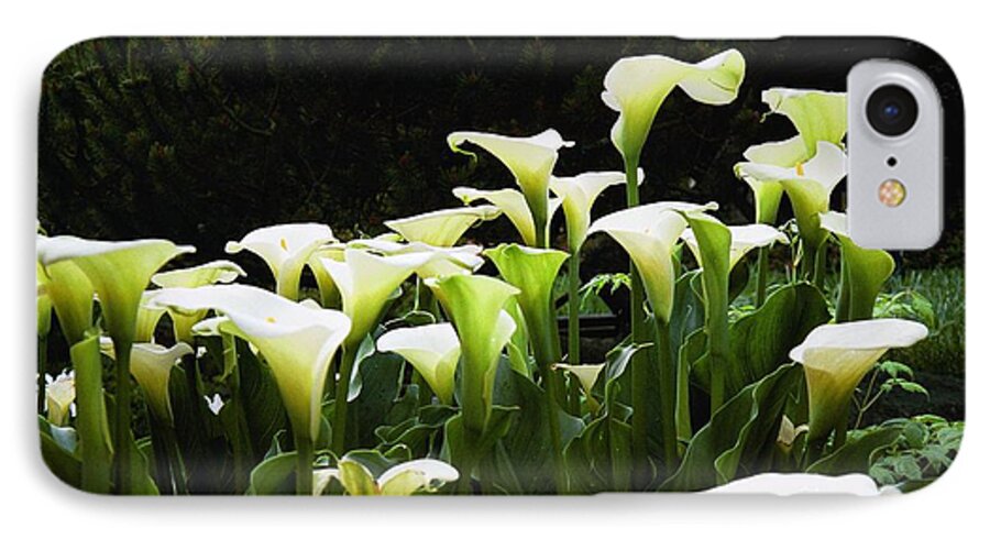 Flowers iPhone 8 Case featuring the photograph Cali Lily by Kim Prowse