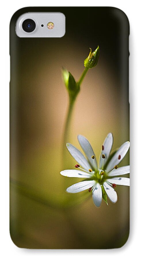 Chickweed iPhone 8 Case featuring the photograph Chickweed Blossom and Bud by Marty Saccone