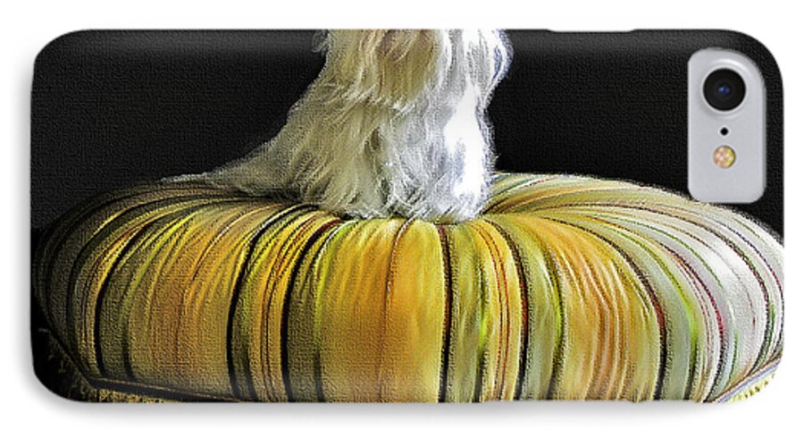 Pet iPhone 8 Case featuring the photograph Chloe On Her Tuffet by Madeline Ellis