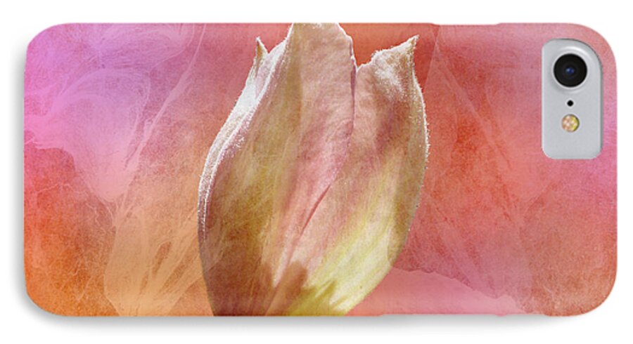 Clematis iPhone 8 Case featuring the photograph Clematis Opening by Lynn Bolt