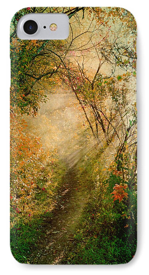 Sun iPhone 8 Case featuring the photograph Colorful Sunlit Path by Brooke T Ryan