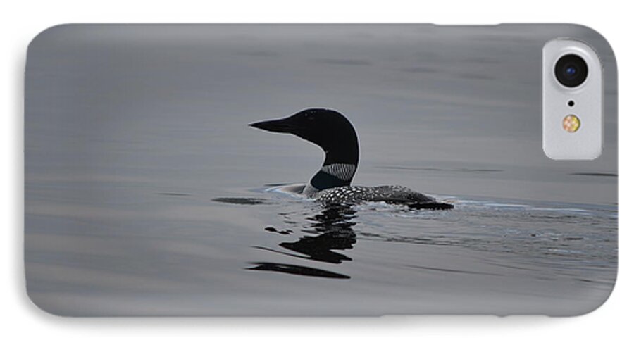 Common Loon iPhone 8 Case featuring the photograph Common Loon by James Petersen