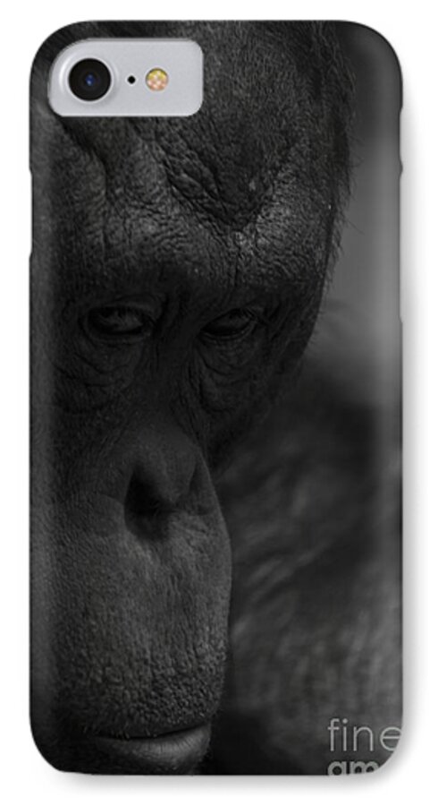Orangutan iPhone 8 Case featuring the photograph Contemplating Orangutan by Steve Triplett