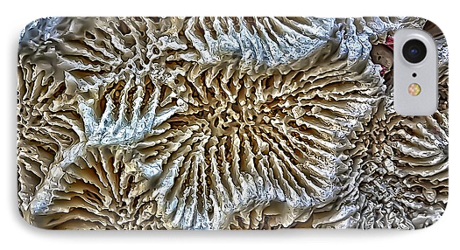 Coral iPhone 8 Case featuring the photograph Coral 1 by Walt Foegelle