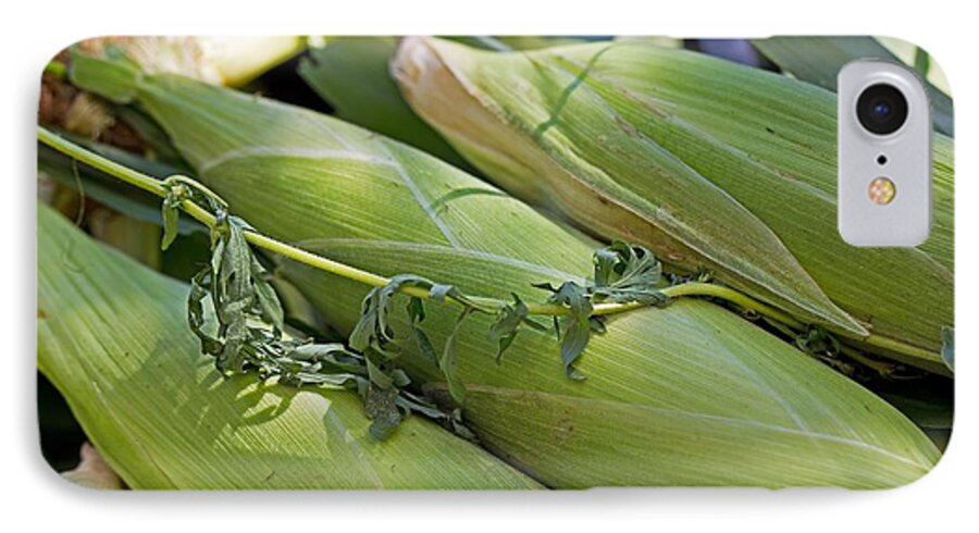5d Mark Iii iPhone 8 Case featuring the photograph Corn Husks by John Hoey