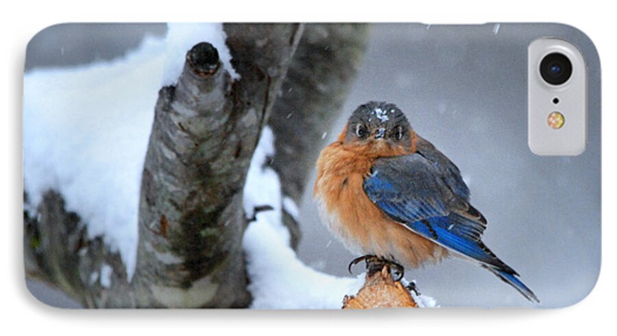 Nature iPhone 8 Case featuring the photograph Cranky Can Be Cute by Nava Thompson