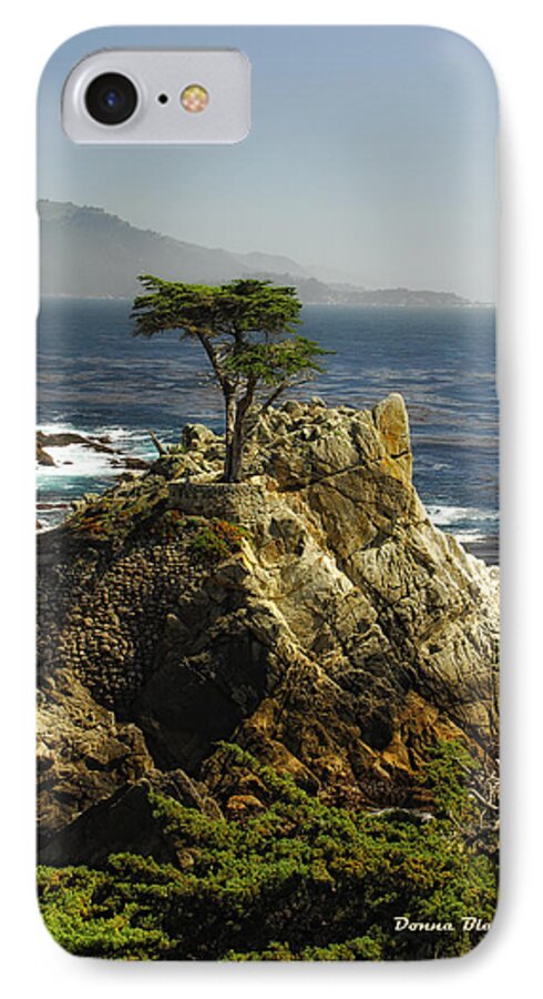 Cypress Tree iPhone 8 Case featuring the photograph Cypress by Donna Blackhall