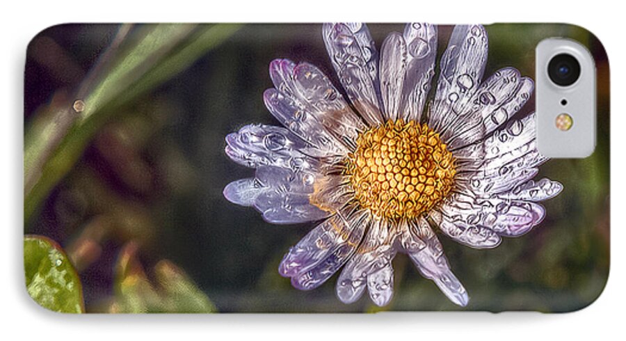 Daisy iPhone 8 Case featuring the photograph Daisy by Hanny Heim