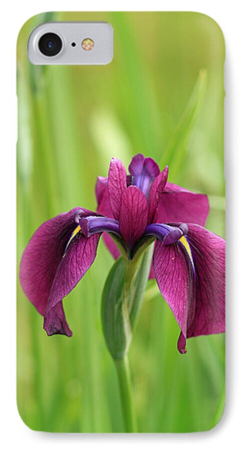 Floral iPhone 8 Case featuring the photograph Dark Magenta Iris by E Faithe Lester