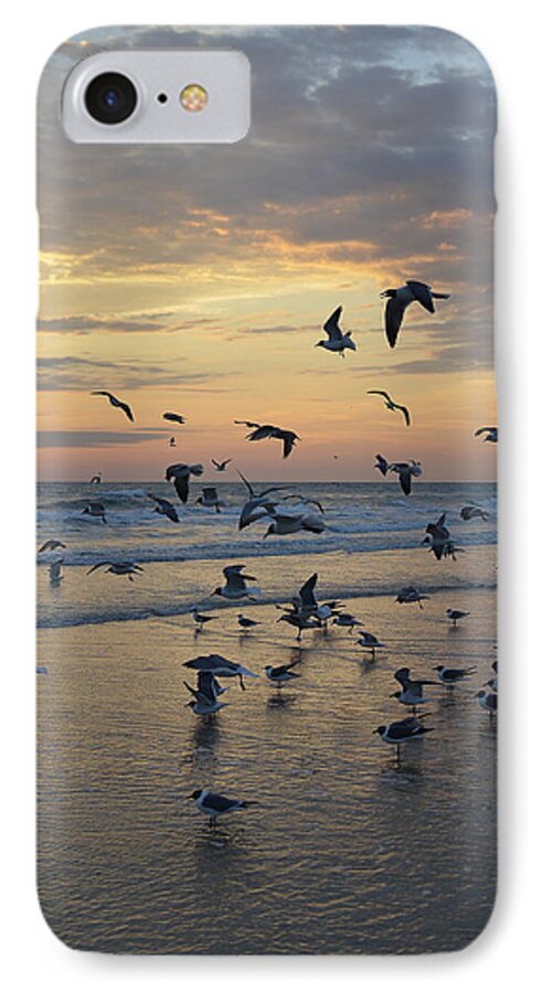 Beach iPhone 8 Case featuring the photograph Dawn gulls by Jerry Hart