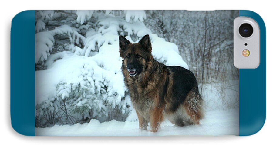 German Shepherd Dog iPhone 8 Case featuring the photograph Dawn's First Light by Sue Long