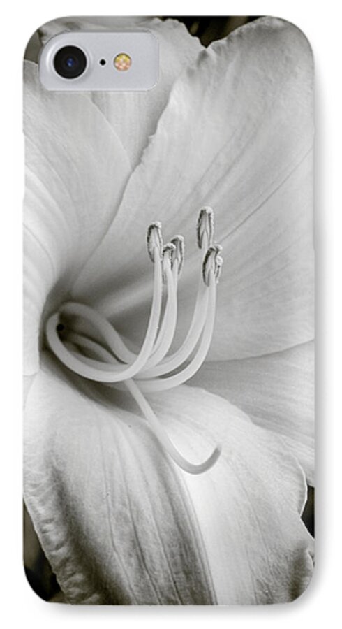 Day Lily iPhone 8 Case featuring the photograph Day Lily by Craig Perry-Ollila