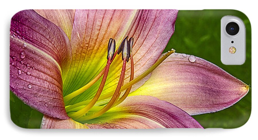 Daylily iPhone 8 Case featuring the photograph Delightful Daylily by Peg Runyan